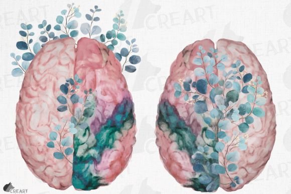 Blush Anatomical Brain Eucalyptus PNG Art