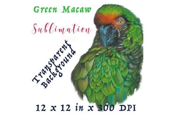 Green Parrot Sublimation PNG: A Vibrant Digital Asset